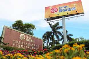榄菊被评为 中国环境标志优秀企业